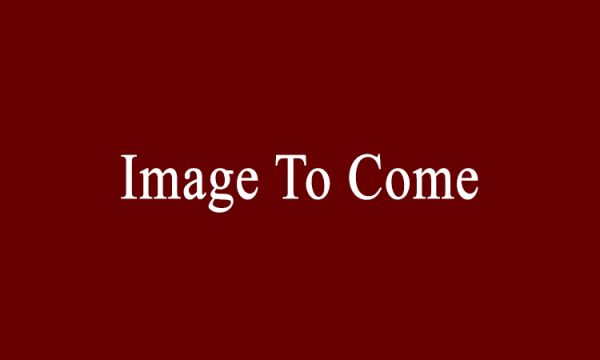f_image-to-come