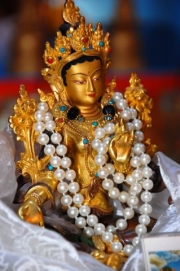 2008_0220tarapuja0012