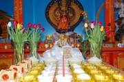 2_2008_0220tarapuja0001